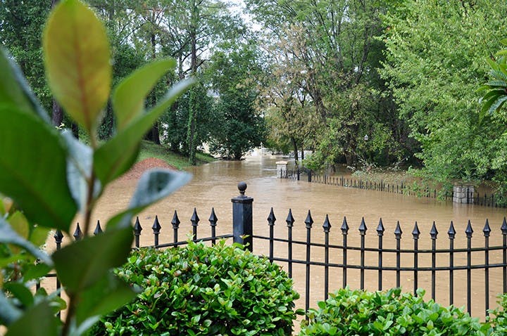 Congaree River Walk at 3 p.m.