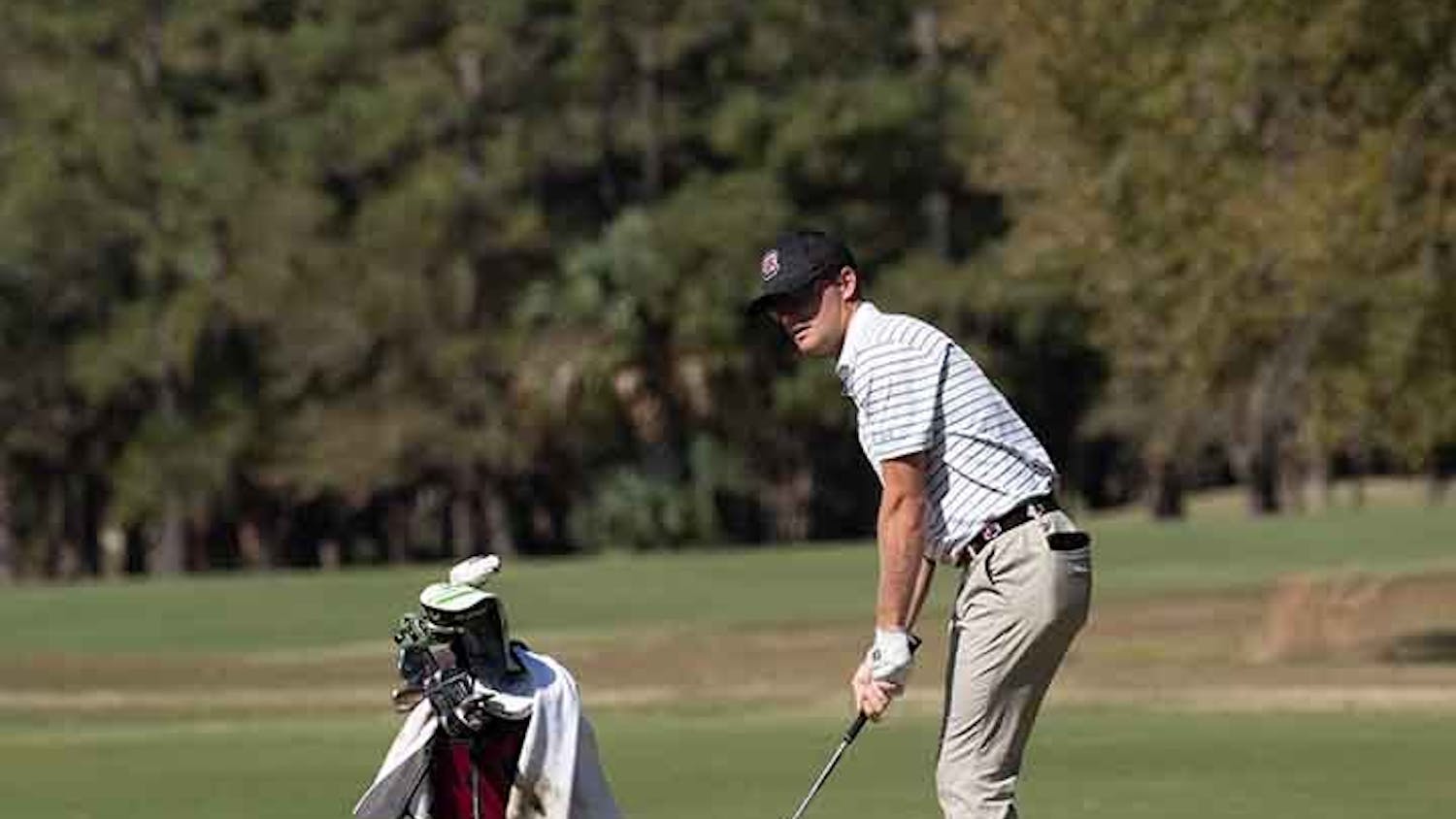 A starting player for the South Carolina golf team looks ahead as he prepares to hit the ball.