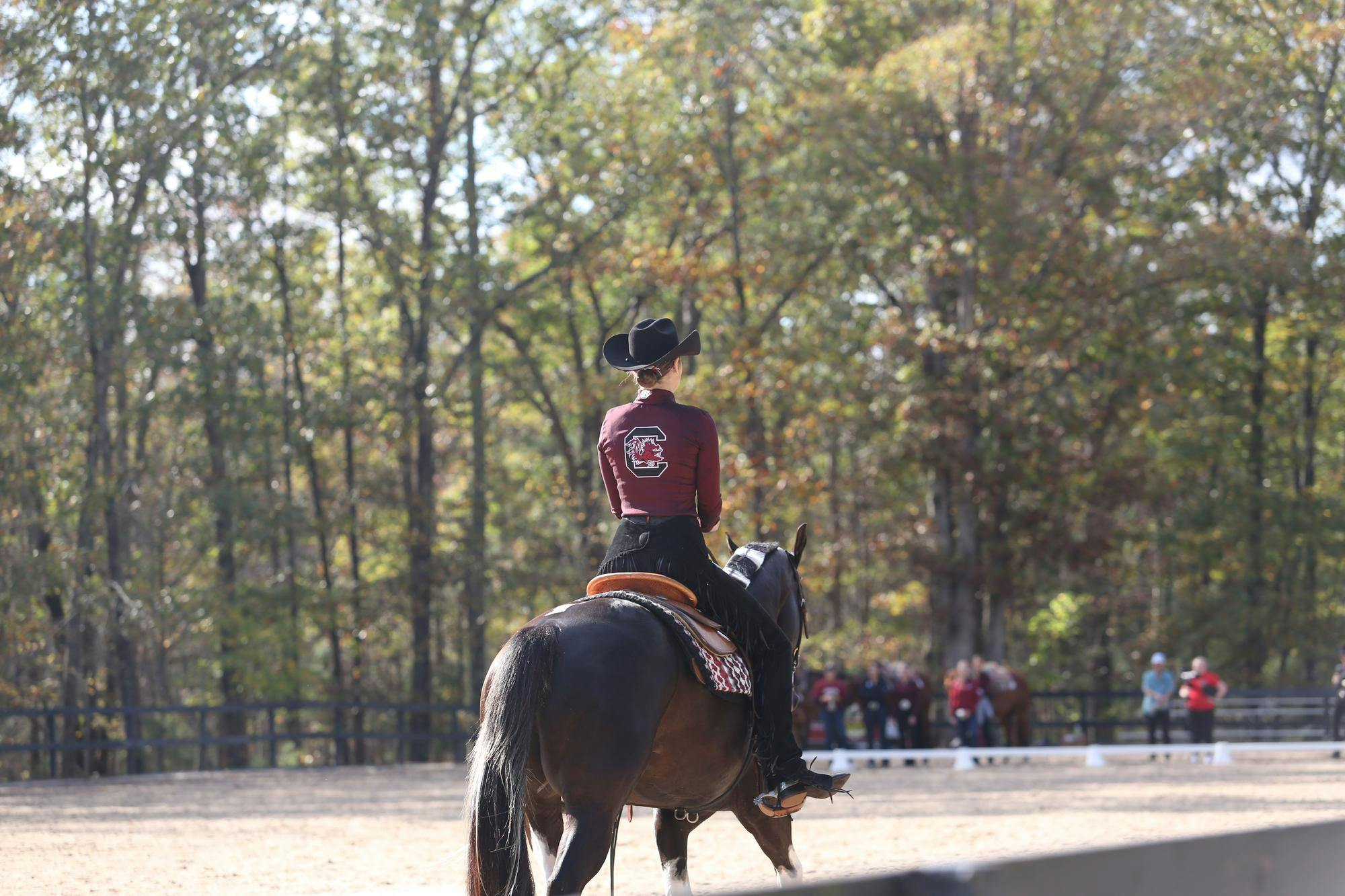 An equestrian rider with the Gamecock logo displayed on her back rides through the ring on a brown colored horse. 