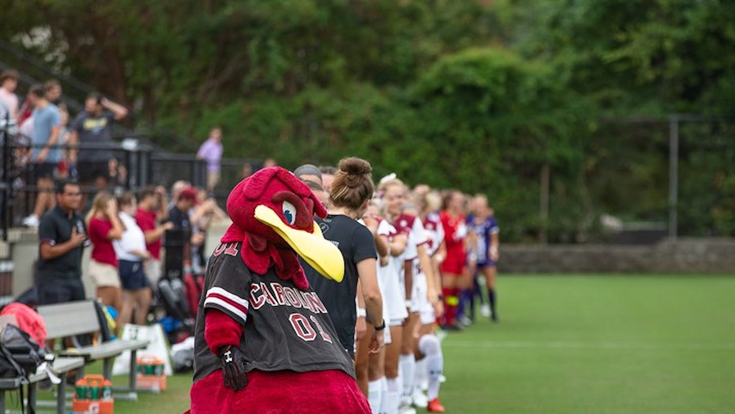 Cocky stands with the Gamecock women's soccer team before the University of South Carolina-Eastern Carolina University match on August 21, 2022. The Gamecocks beat the Pirates 2-0.