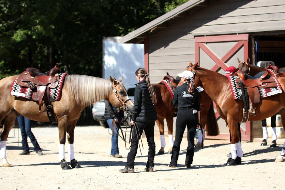 equestrian-darbybianco-091