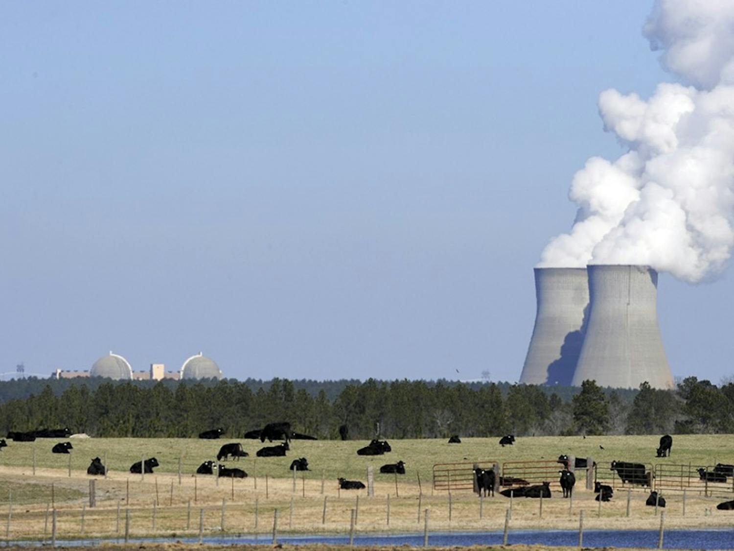 Cattle graze near the cooling towers for Georgia Power's Vogtle nuclear power plant in Waynesboro, Ga. The plant uses the Westinghouse AP1000 advanced pressurized water reactor technology. (Erik Lesser/Zuma Press/TNS)
