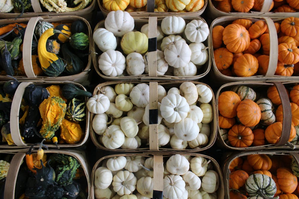 <p>A collection of baskets holding gourds and pumpkins sit alongside each other during the Midlands Plant and Flower festival from 2021. &nbsp;The Midlands Plant and Flower Festival will be held from 8 a.m. to 6 p.m. on Friday and Saturday, and from 10 a.m. to 4 p.m. on Sunday.</p>