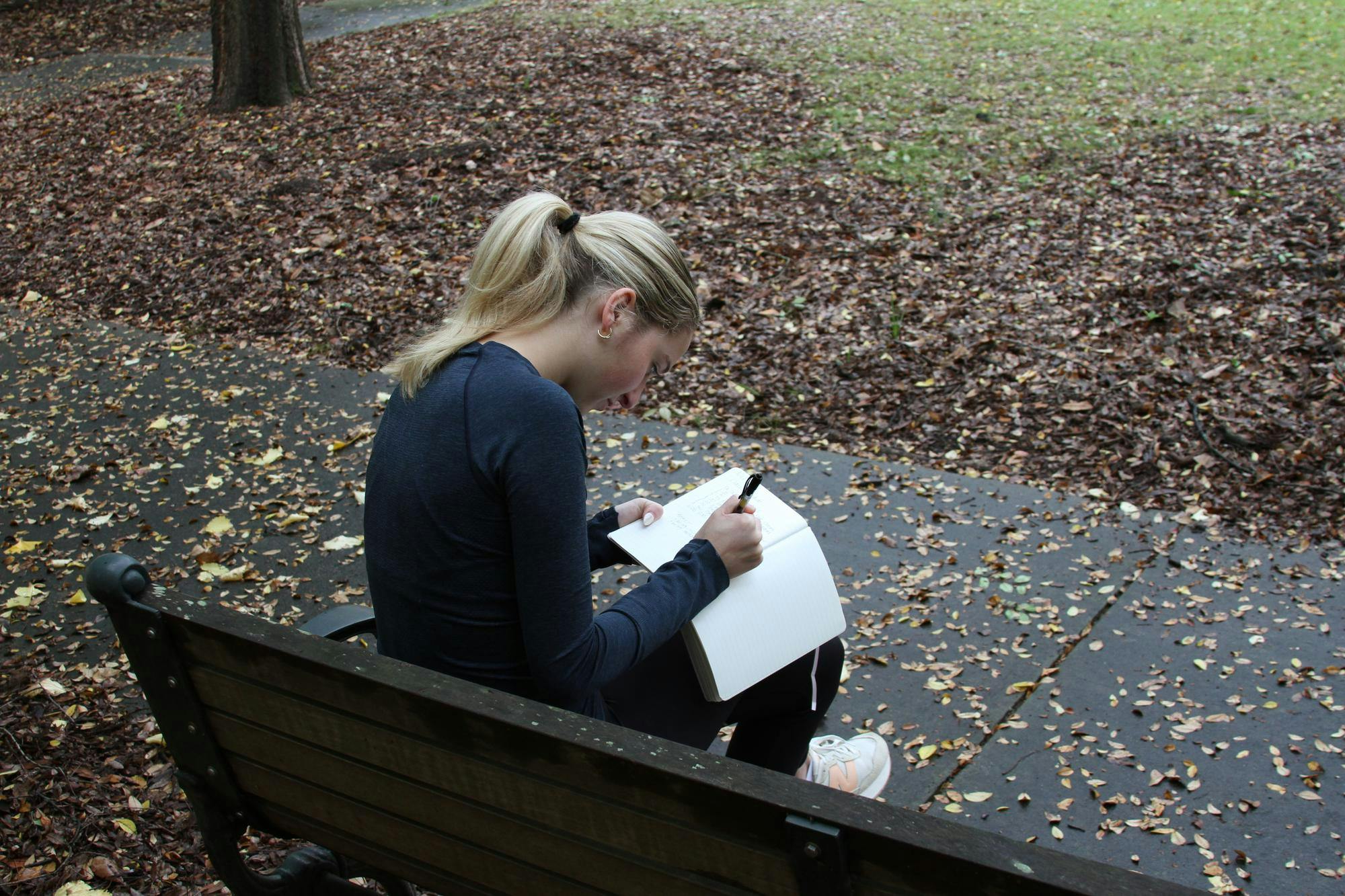 A photo illustration of a student sitting on a bench writing in their journal at the University of South Carolina on Nov. 11, 2024. Four times a year, Cassie Premo Steele invites writers to Congaree National Park for immersive workshops that blend nature walks with reflective journaling.