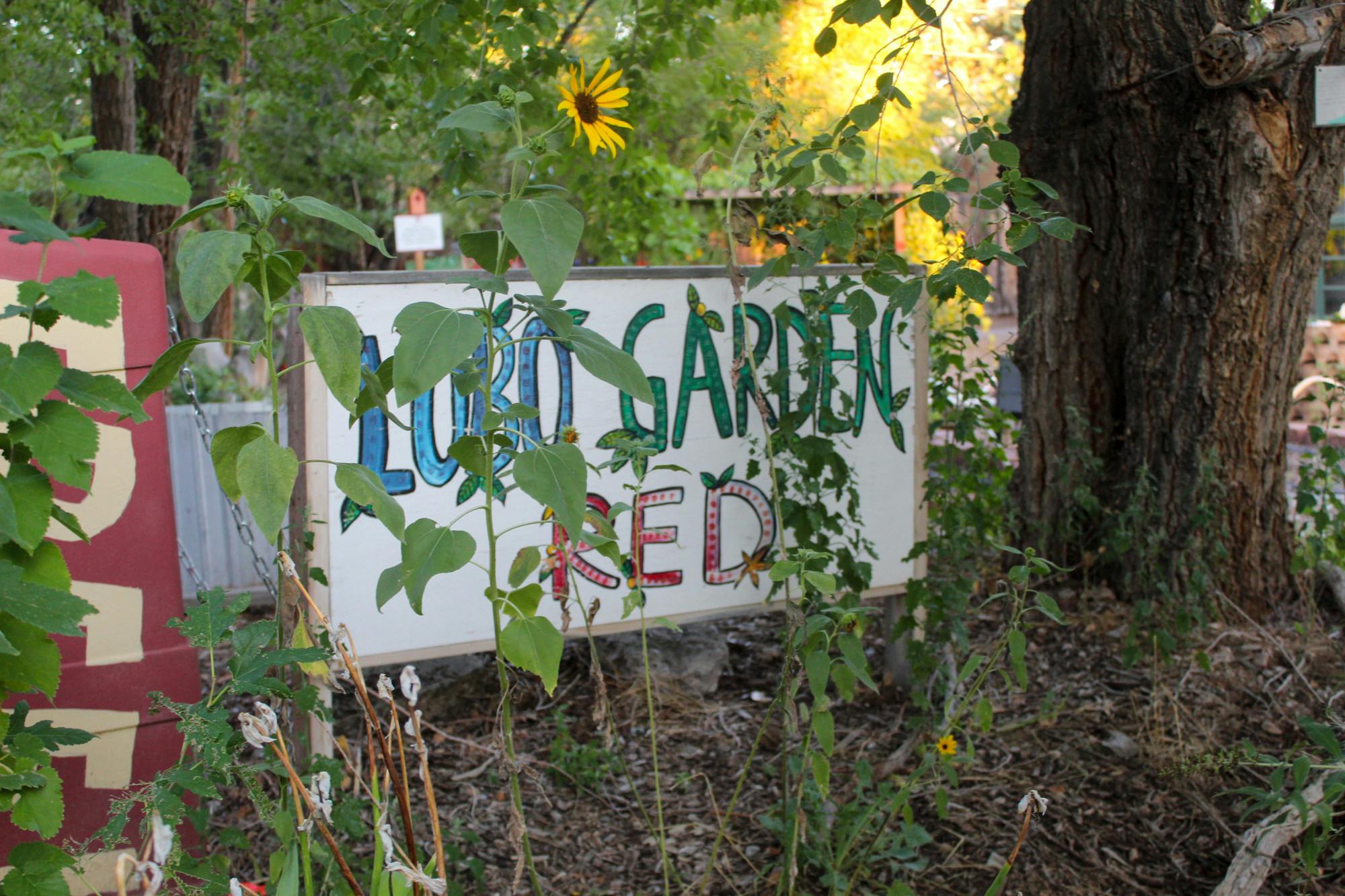 PHOTO STORY: Life in Bloom at Lobo Gardens