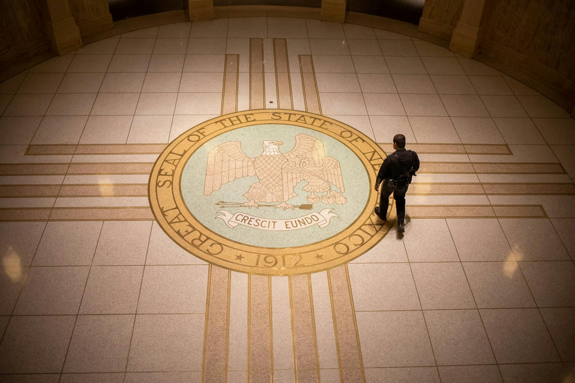 Special Legislative Session 2020 (1)