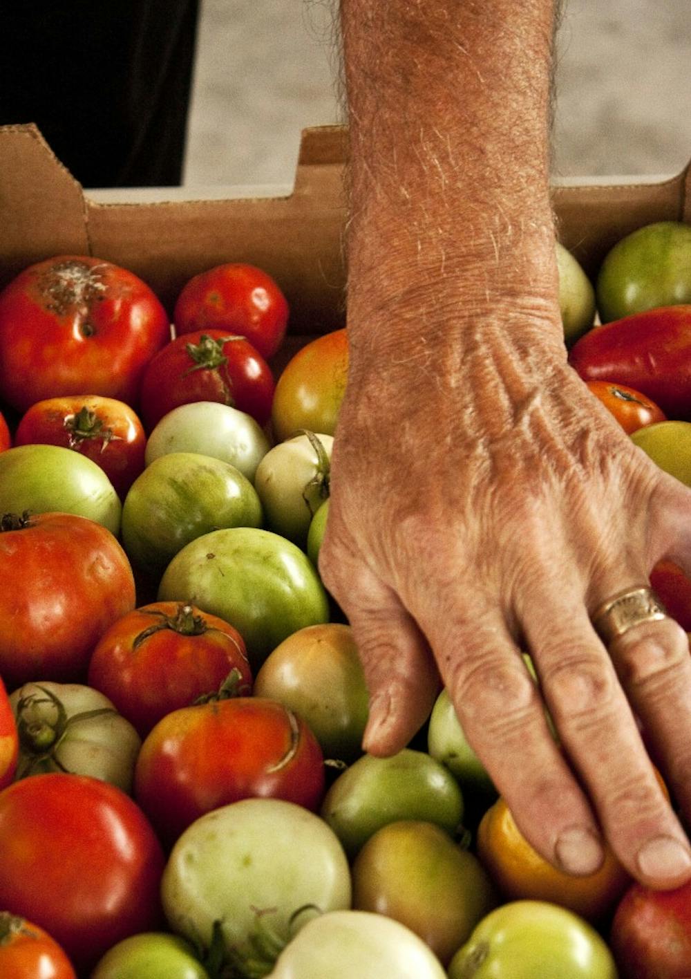 	Stan Handmaker, a customer of Los Poblanos Ranch in Los Ranchos de Albuquerque, looks through this year’s tomato harvest. Local farms are finding ways to integrate students into the growing process.