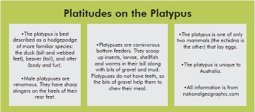 platypus2.jpg