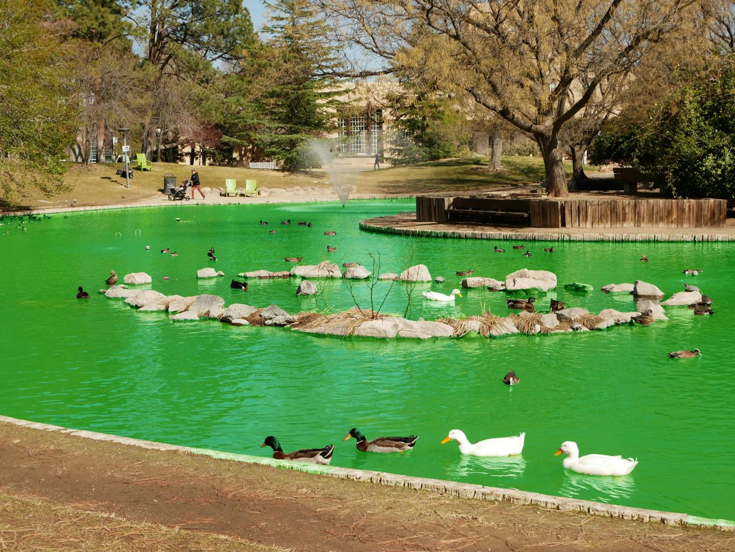 Radioactive Duck Pond.jpg