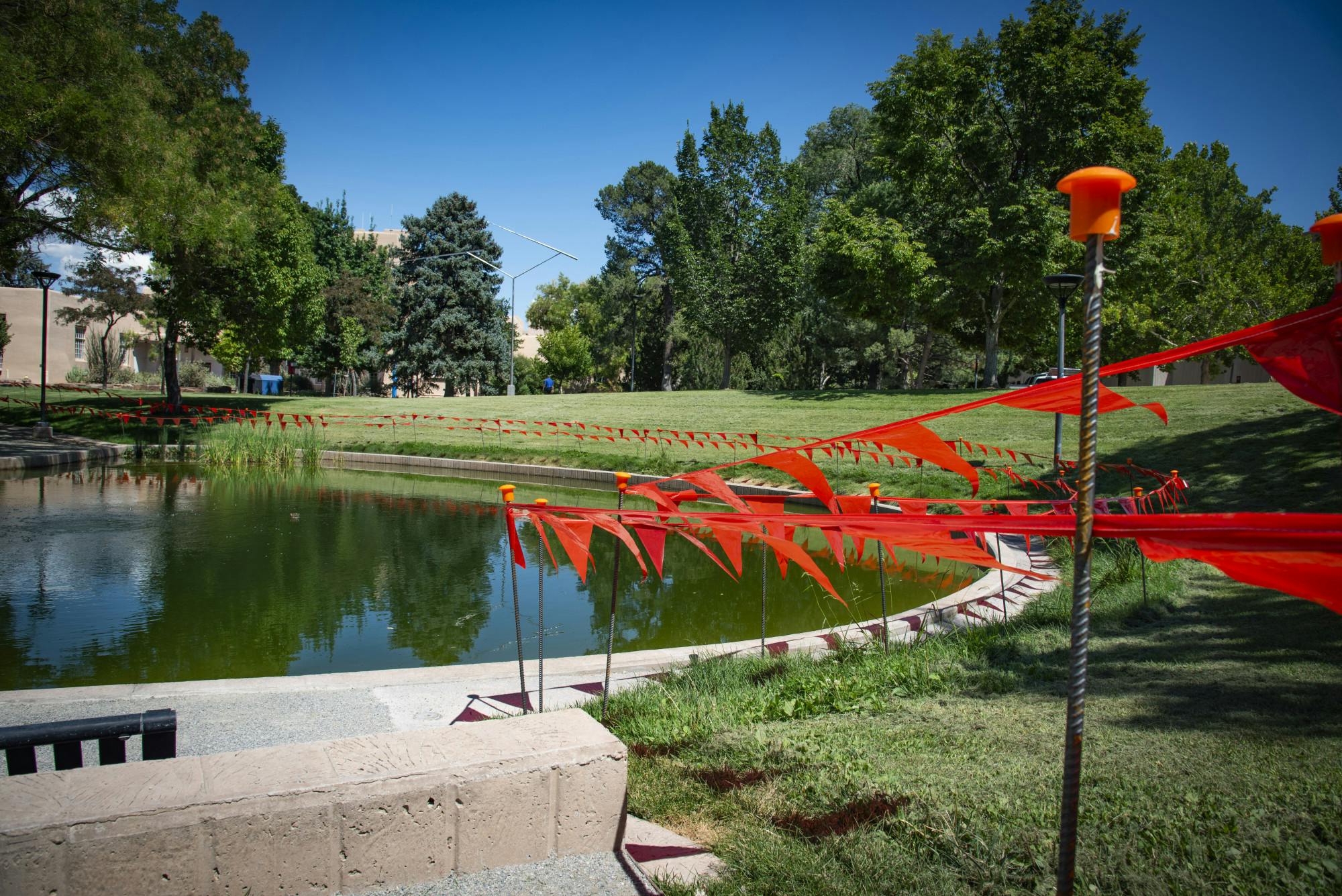 PHOTO STORY: The Duck Pond Is Finally Back