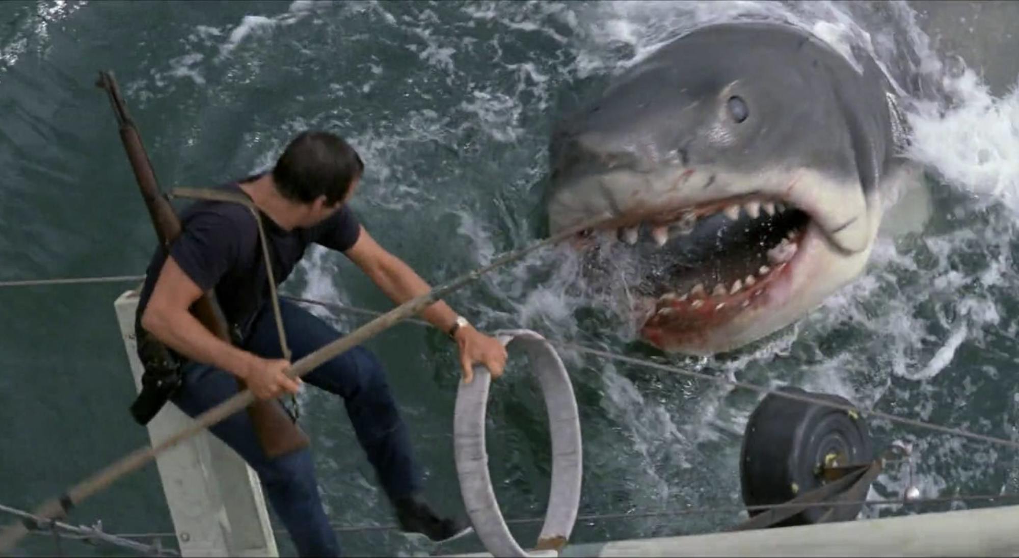 jaws.png