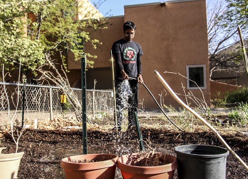 Mohiuddin Ahamad works on his garden at UNM Student Family Housing on April 18, 2018. Residents are able to maintain and plant at these lots.