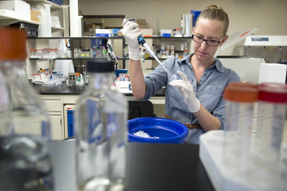 Kathryn Frietze, post doctoral fellow in molecular genetics microbiology, pipettes vaccine candidates in a laboratory on Tuesday. Researchers at UNM have developed a new strategy for the creation of vaccines that use virus-like particles, which can be attached to molecules that the body wouldn’t normally identify as a threat.