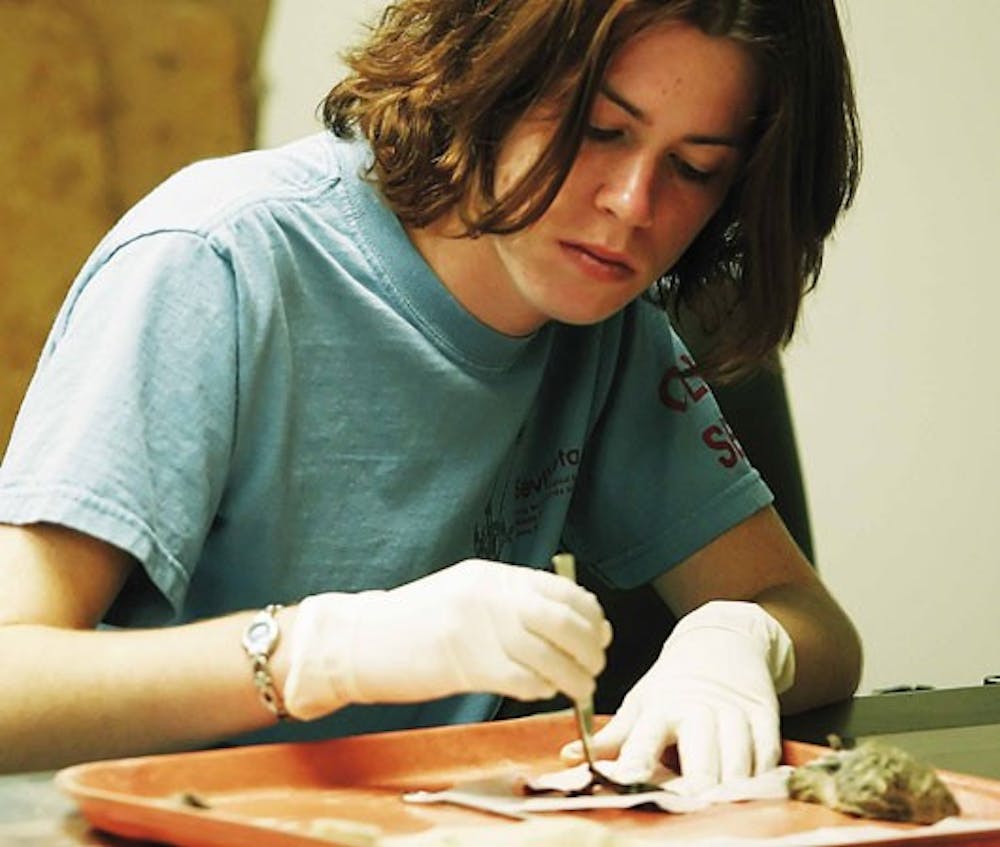 Student Tierney Adamson examines a specimen Sunday after the opening of the Center for Environmental Research Informatics and Art. Curators of the center gave tours of the facility after a ribbon-cutting and reception.