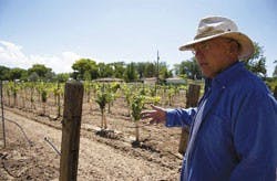Keith Johnstone, owner of Corrales Winery, talks about the different variety of grapes he grows for his wines Saturday in Corrales. The winery is preparing for the upcoming New Mexico Wine Festival at Bernalillo.  