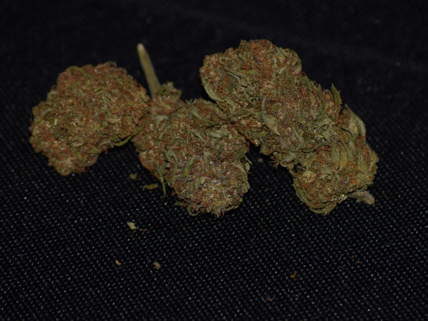 Cannabis.JPG