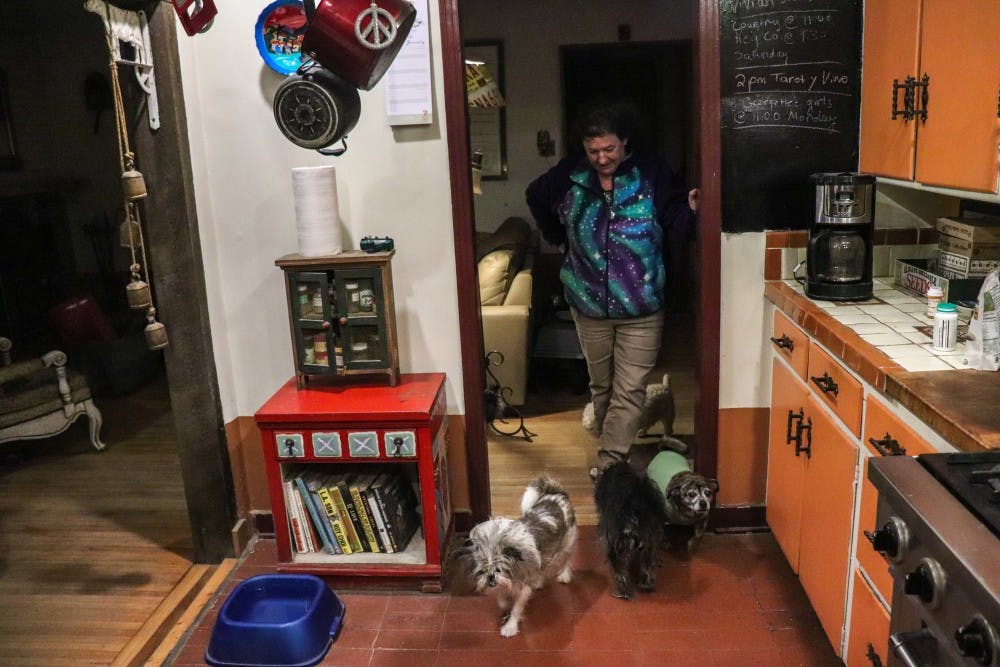 Photo story: Dogs of Juarez