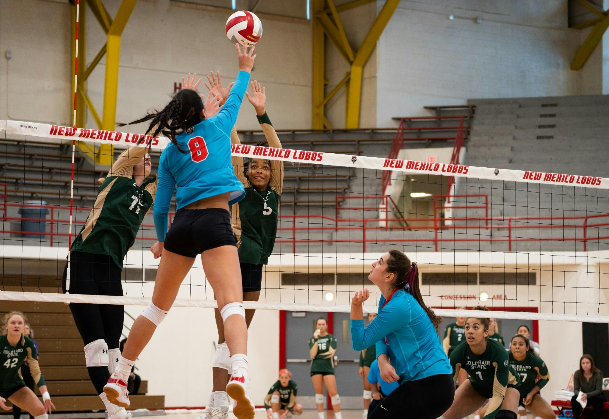 UNM Volleyball Loses Competitive Match To Colorado State - The Daily Lobo