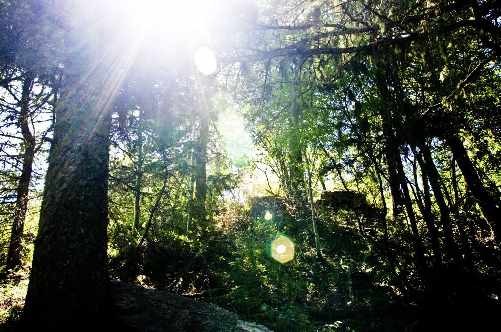 A trail at the top of the Sandia Mountains leads hikers around the peak to various locations to hike. Hikers can even take a tram to trails, drive or hike up the mountain itself.&nbsp;
