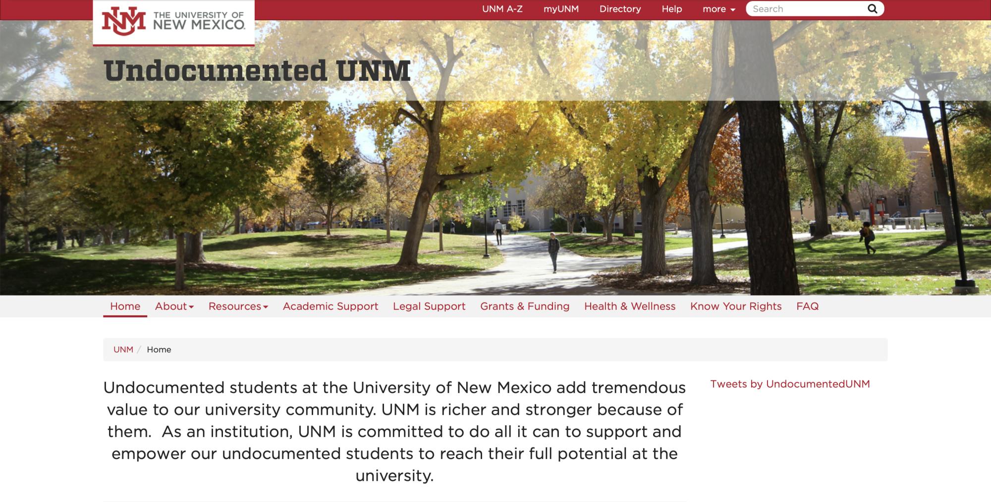 Undocumented website.png