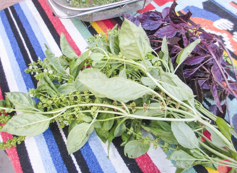 Dried herbs can add much-needed flavoring to foods in during the winter months.