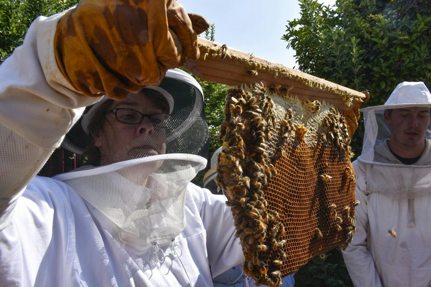 Sarah Davies, left, inspects a honeycomb from one of her hives on Sunday, Aug. 19, 2018.