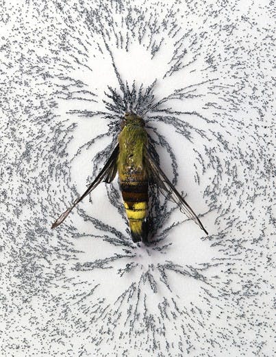 Christine Chin's piece in the "Alternative Alternative Energy" exhibit featured in Jonson Gallery through April 4.