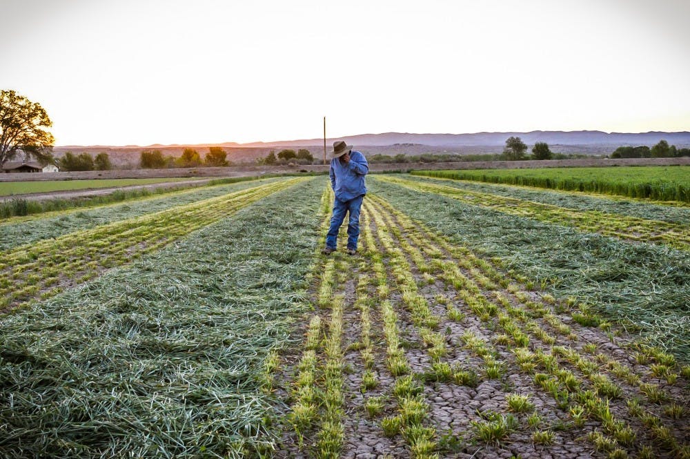 Photo story: Lopez farm