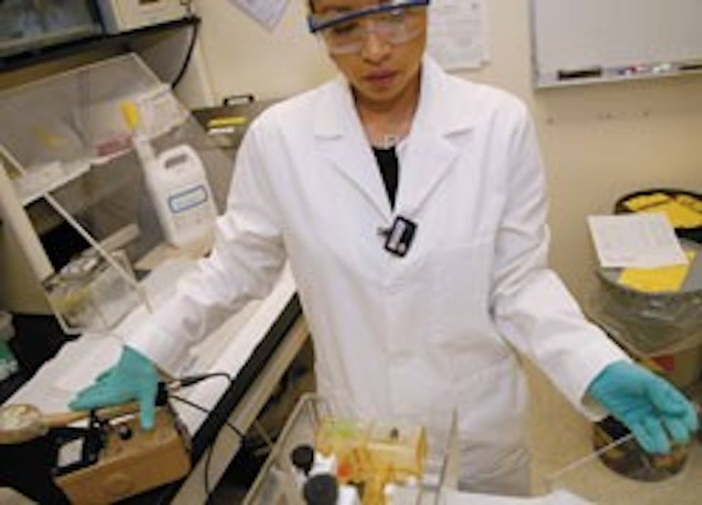 Student Alicia Arguelles moves a glass plate after checking it with a Geiger counter while performing DNA testing in Castetter Hall on Wednesday.    