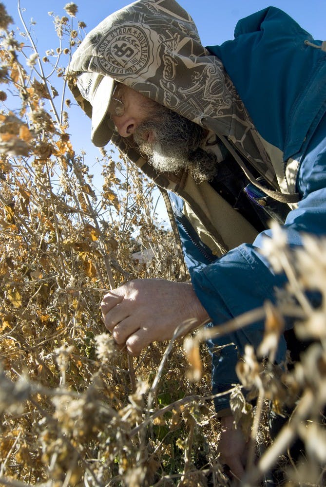 	Jimmy Petit clears away dead brush in preparation for new crops on Friday at Erda Gardens. Erda Gardens participates in a Community Supported Agriculture program, which provides local produce to community residents.