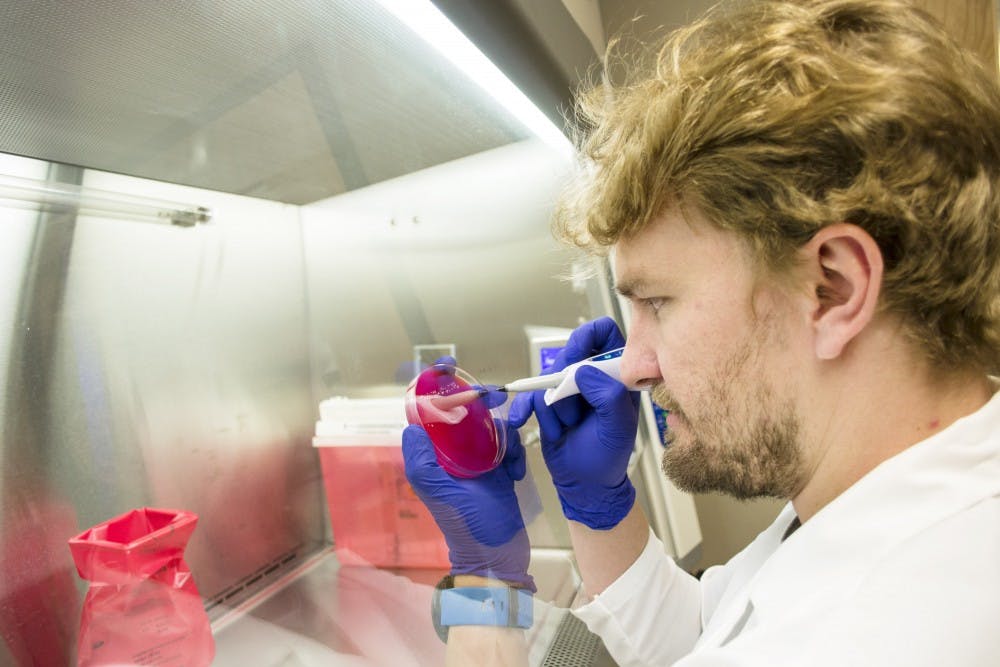 Seth Daly, a fourth-year Ph.D. biomedical sciences student, counts bacterial colonies on agar on Wednesday afternoon. The laboratory is developing inhibitors of bacterial virulence to treat infections caused by Methicillin-resistant Staphylococcus aureus.