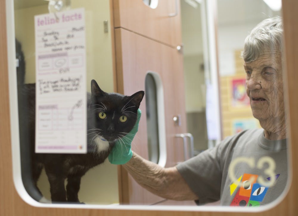Pat Murphy, a volunteer at Animal Humane, holds one of the cats at the Cat House. Animal Humane has about 450 volunteers that tend to animals and do daily duties such as cleaning and spending time with the animals. 