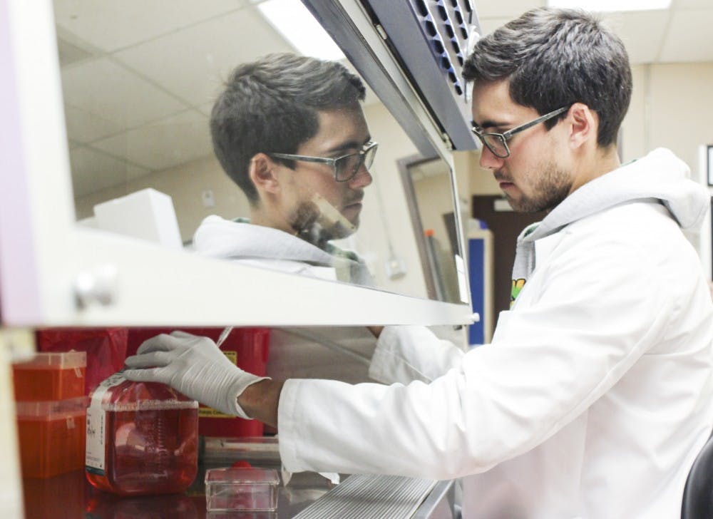 Nick Gannon, a biochemistry major, cultures cells in the Biomedical Research Facility on Tuesday afternoon. Gannon, among other researchers, is looking into anti-cancer agents produced naturally by the body. 