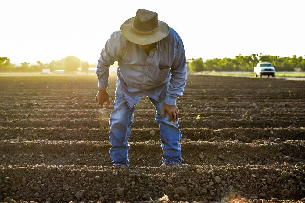 Photo story: Lopez farm