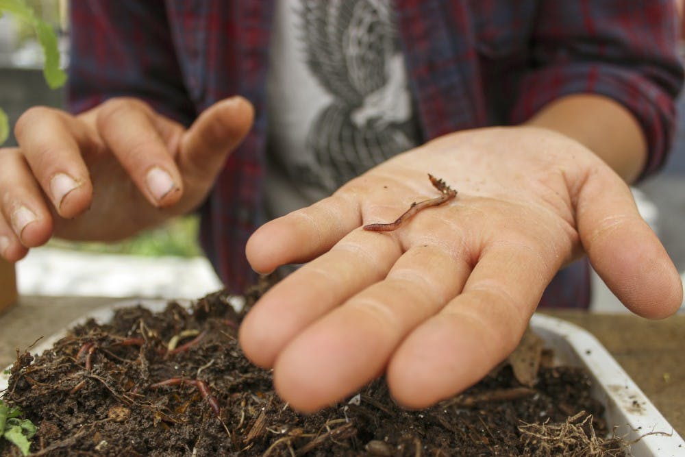 Meg Oriold of Sol Harvest Farm holds a worm during the seventh annual UNM Sustainability Expo on Tuesday afternoon. For the fifth year in the row, UNM has been voted as one of the most environmentally friendly colleges in the United States.