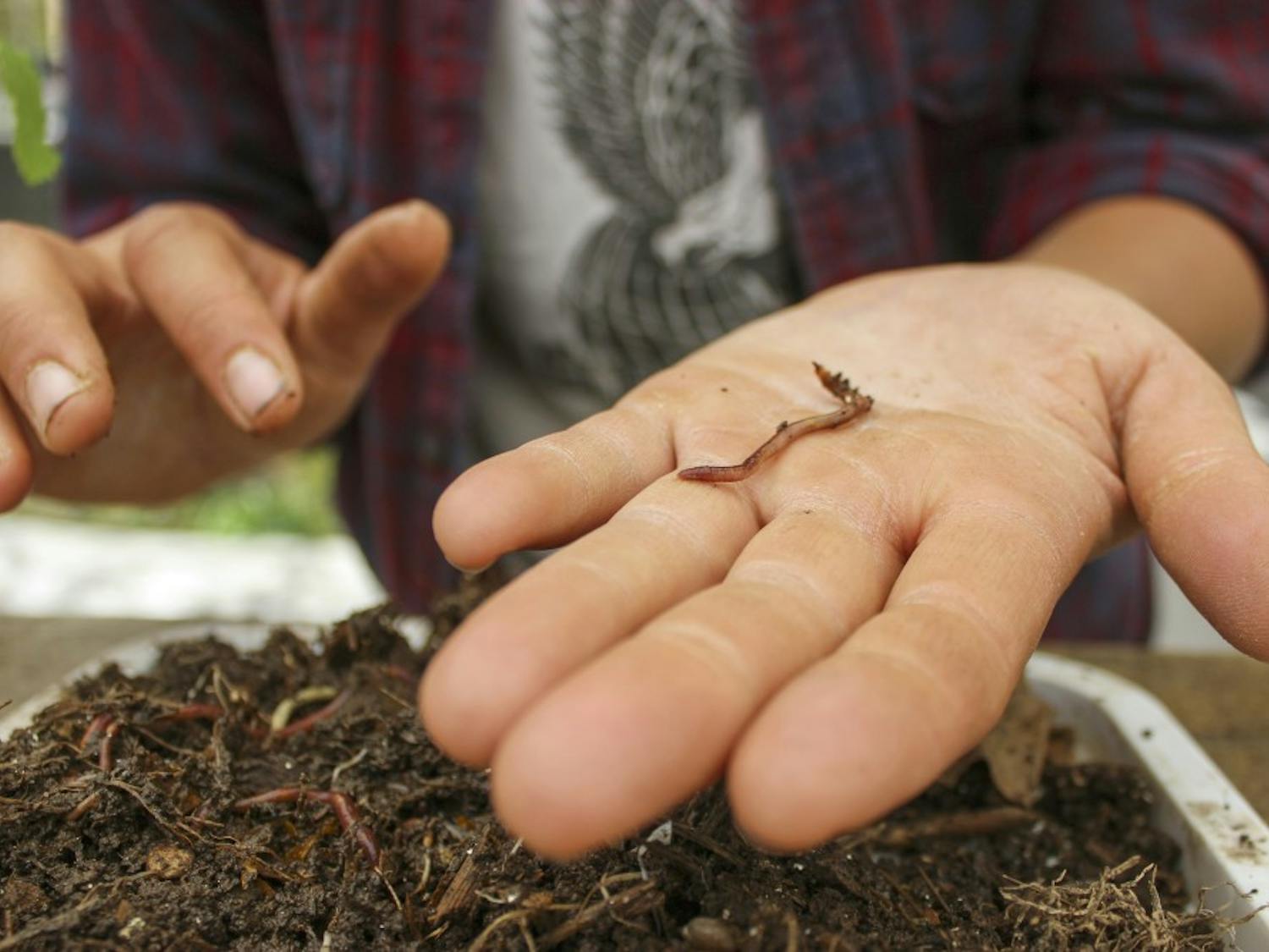 Meg Oriold of Sol Harvest Farm holds a worm during the seventh annual UNM Sustainability Expo on Tuesday afternoon. For the fifth year in the row, UNM has been voted as one of the most environmentally friendly colleges in the United States.