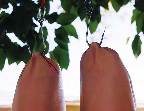 McCarthy demonstrates the lotus suspension.