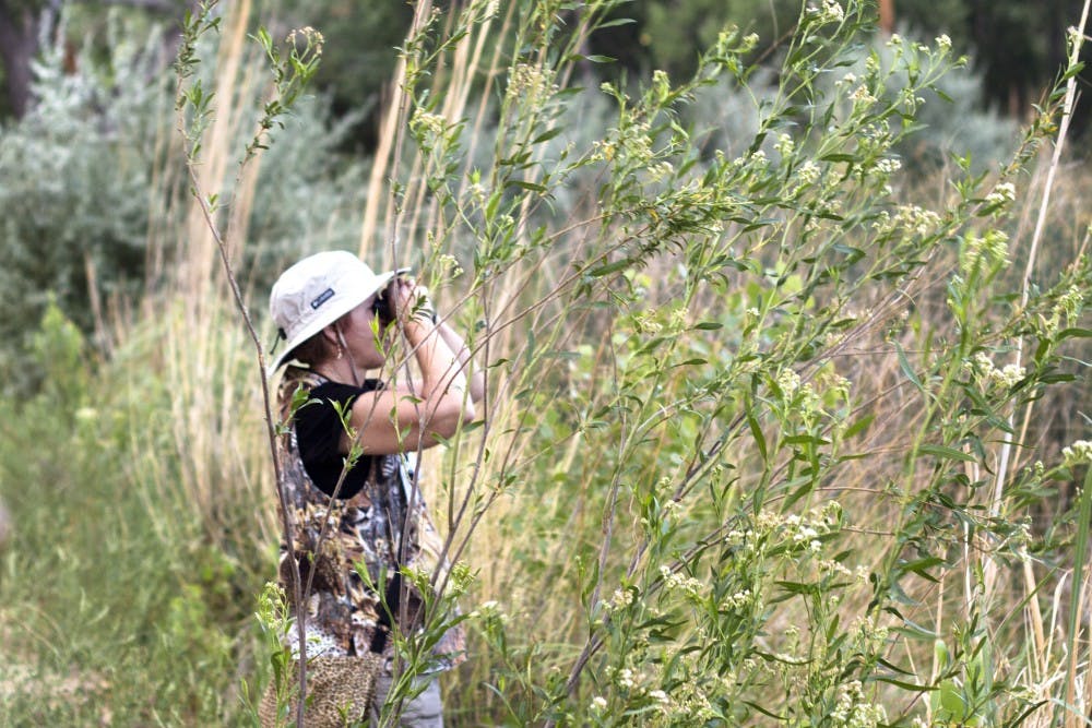 	Lisa Hada, a volunteers for the ABQ BioPark and Zoo, observes a beaver lodge through her binoculars during a moonlight hike on Tuesday. The ABQ BioPark is giving guided tours of the bosque on July 15 and Aug. 19.