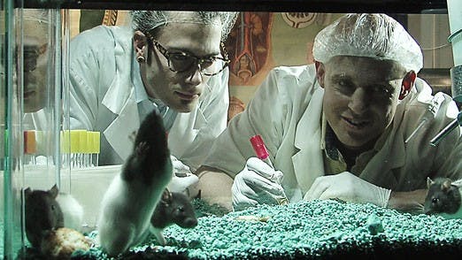 "Horror in the Wind" will play at the Guild Friday through Sunday.  