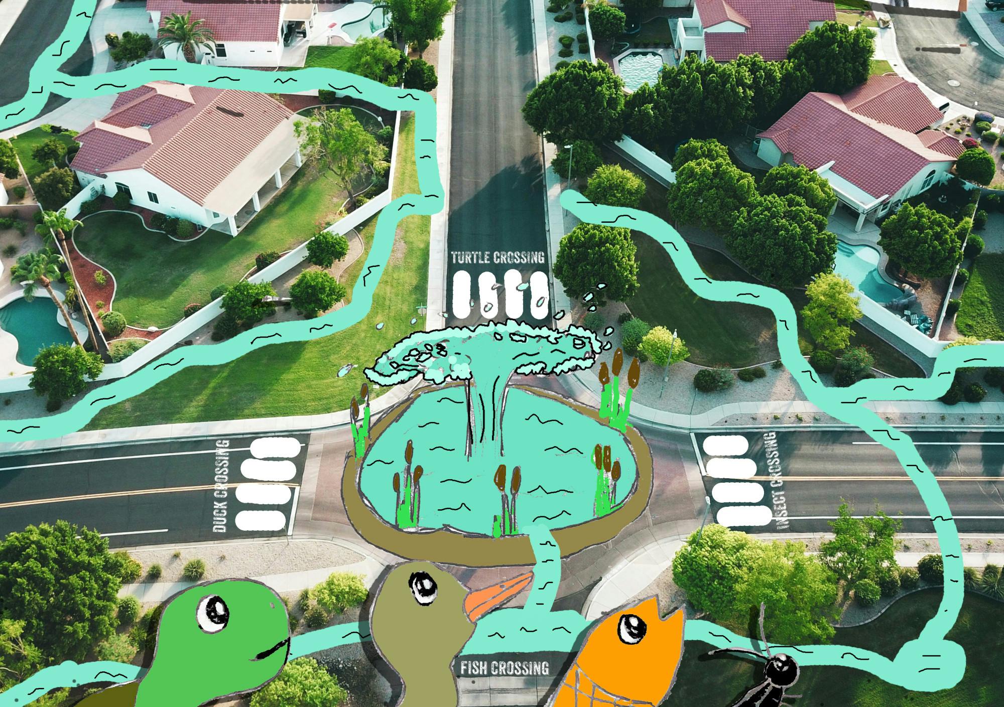 duckpond suburbia (leila).jpg