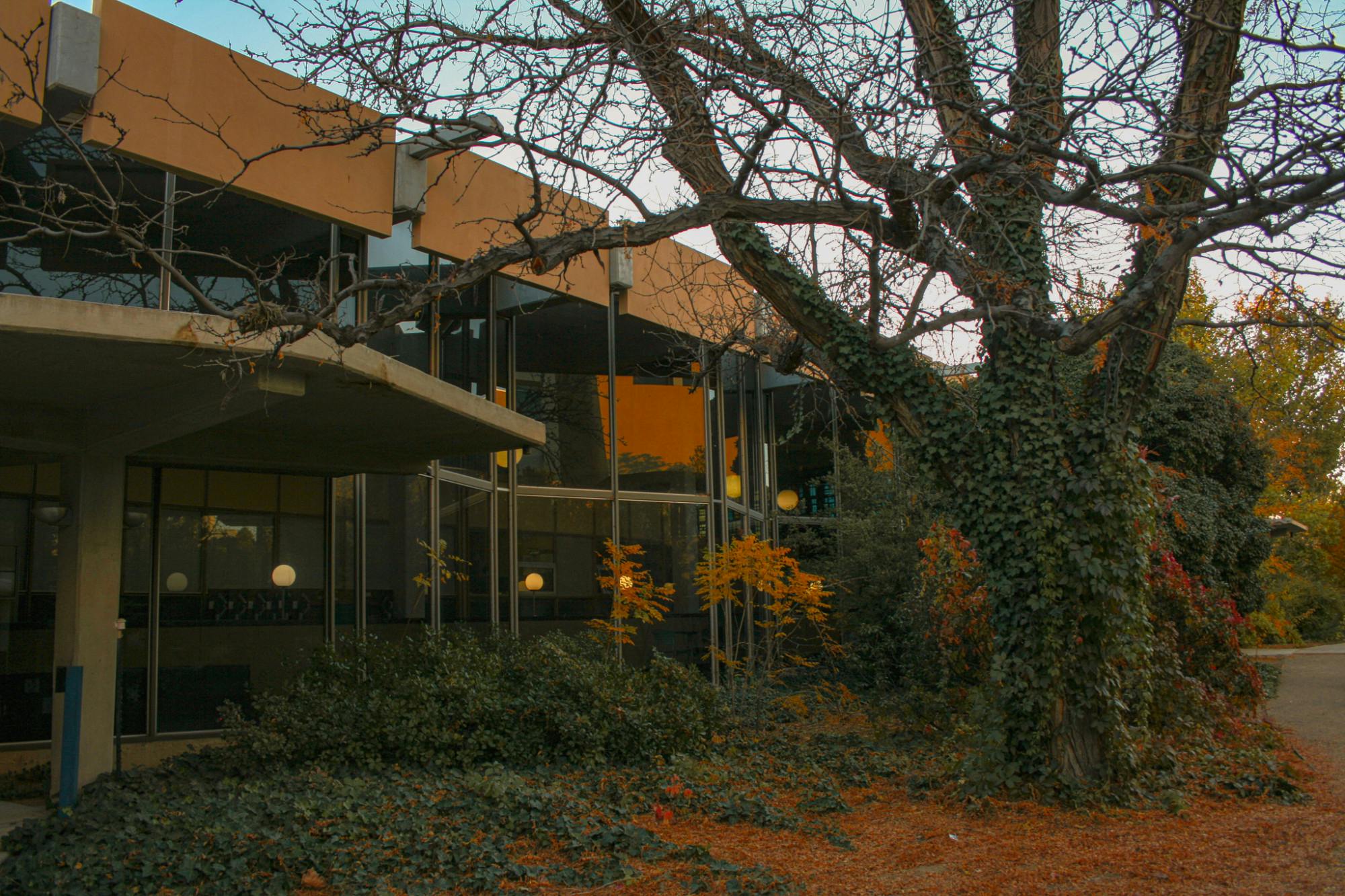 PHOTO STORY: Fall Arrives on Campus