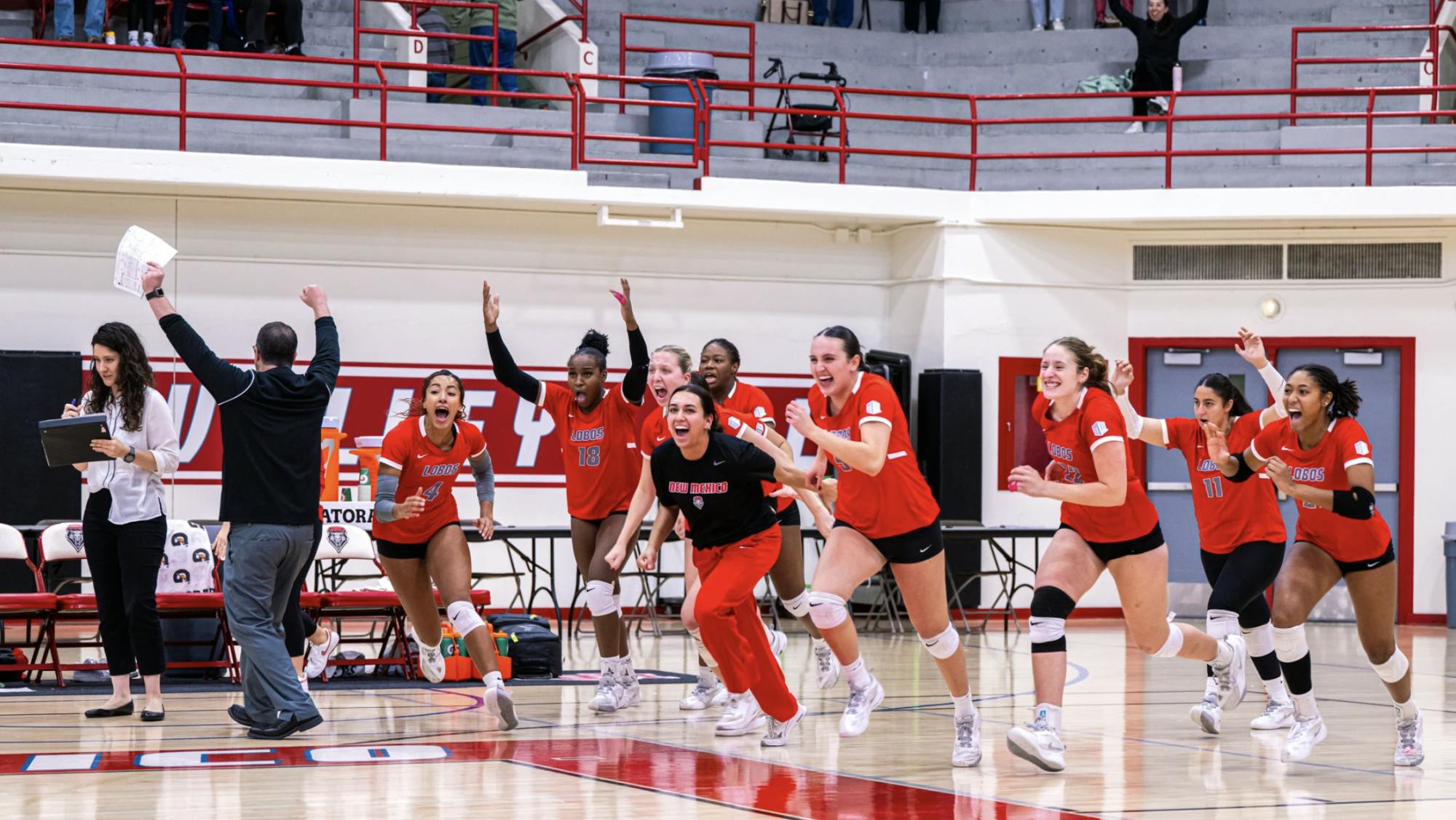 Screen Shot 2024-11-10 at 8.03.06 PM.png