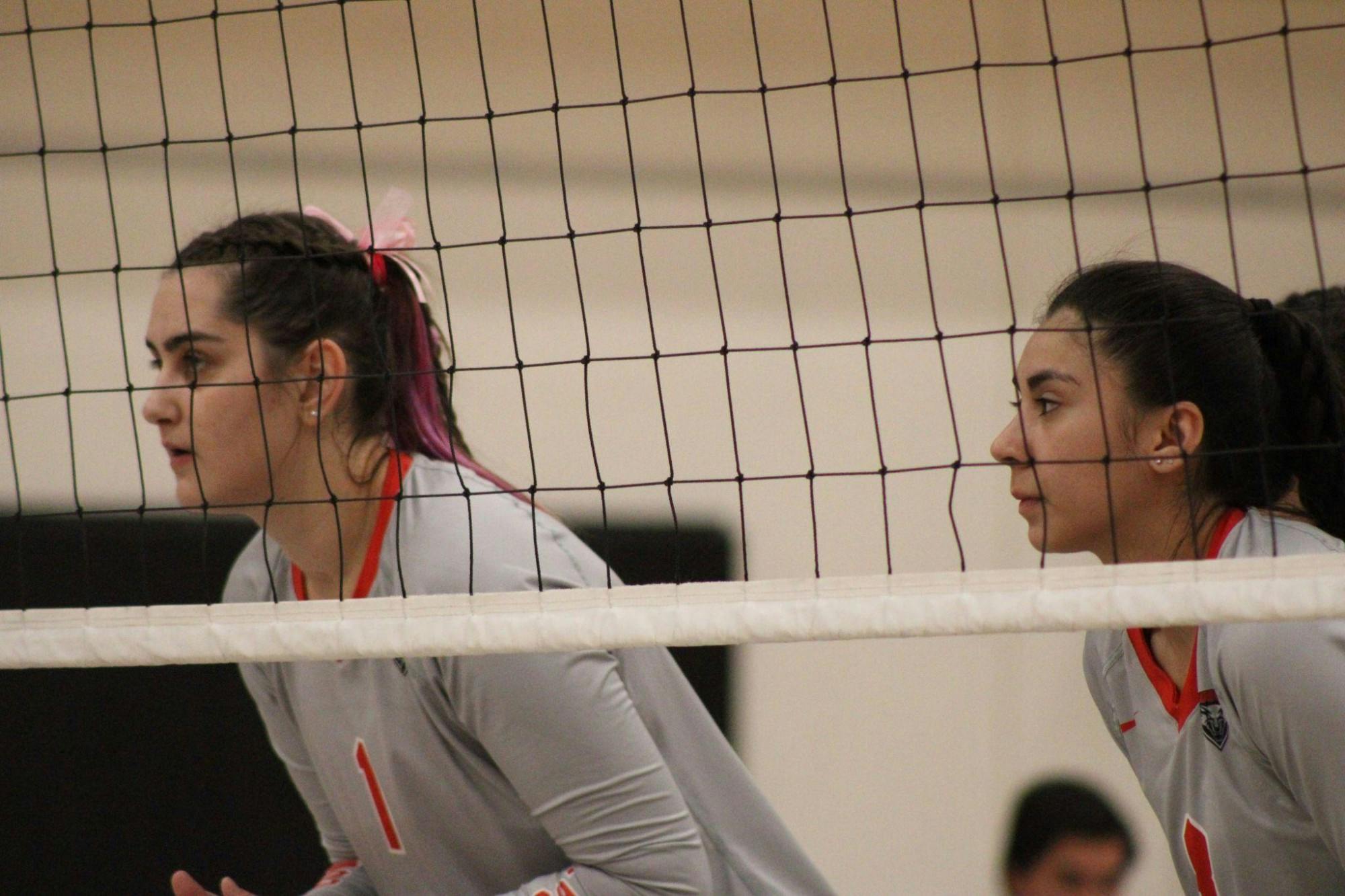 GALLERY: UNM Volleyball v. University of Nevada