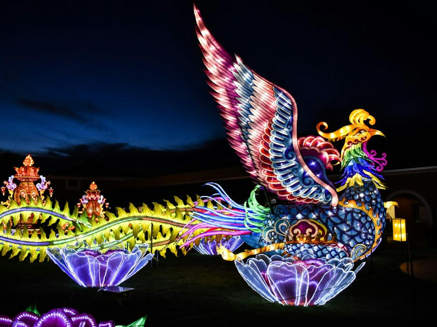 A lantern phoenix on display during the Dragon Lights Festival on Saturday, Oct. 6.