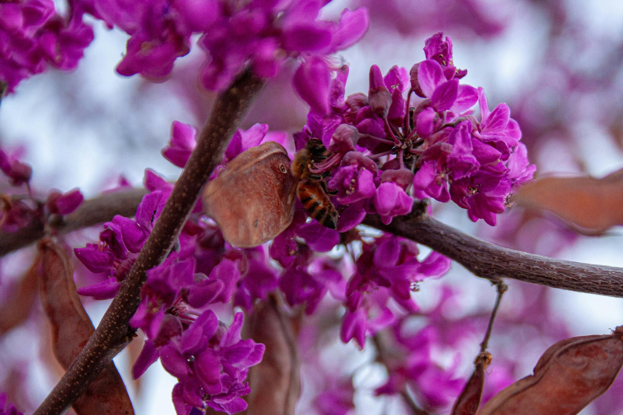 PHOTO STORY: Spring Break vibes on campus