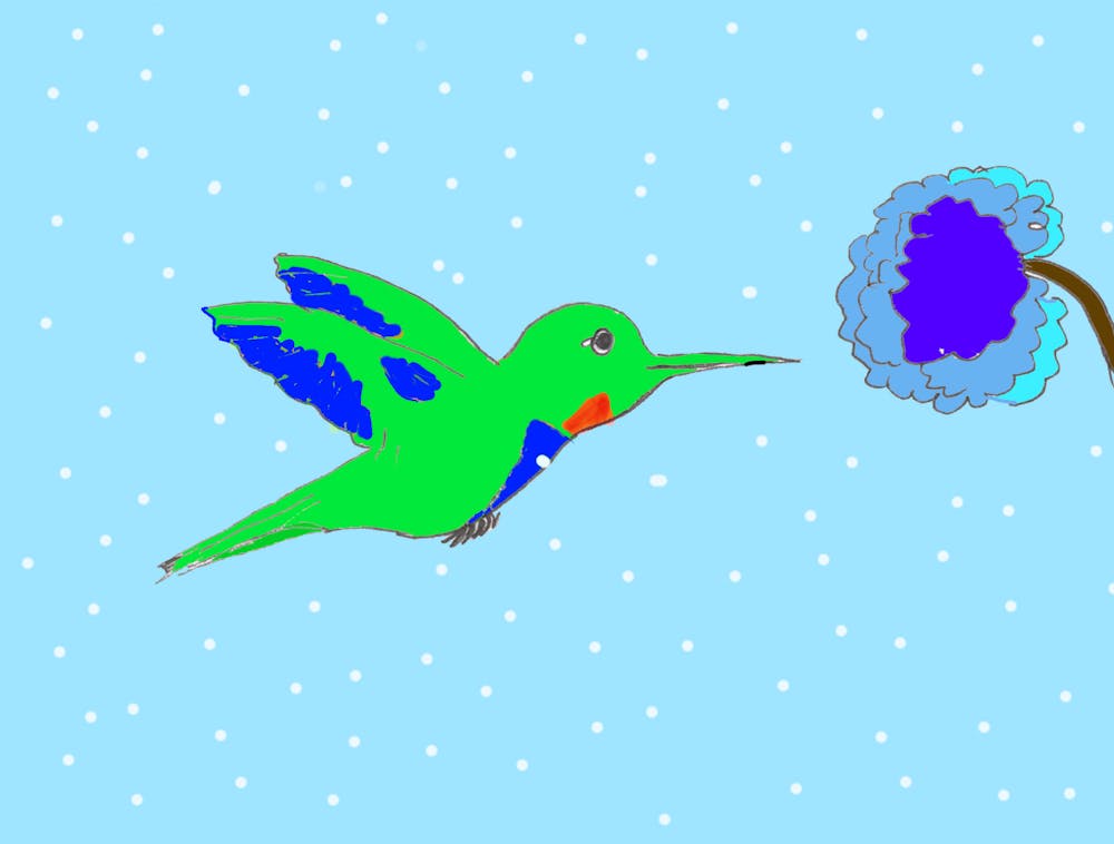 hummingbird.jpg