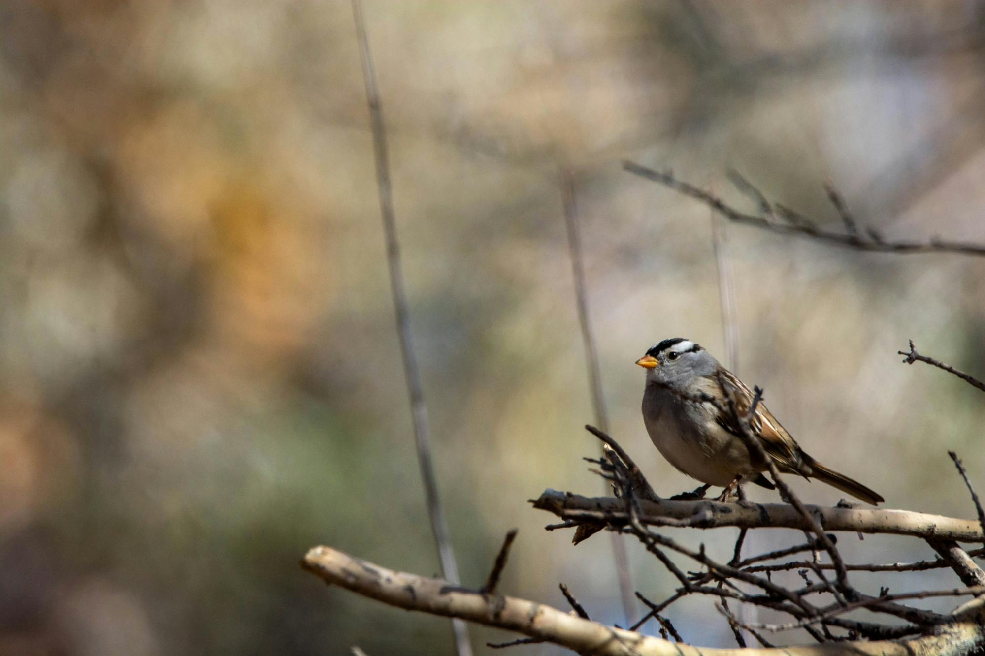 PHOTO STORY: Nature photos of the week