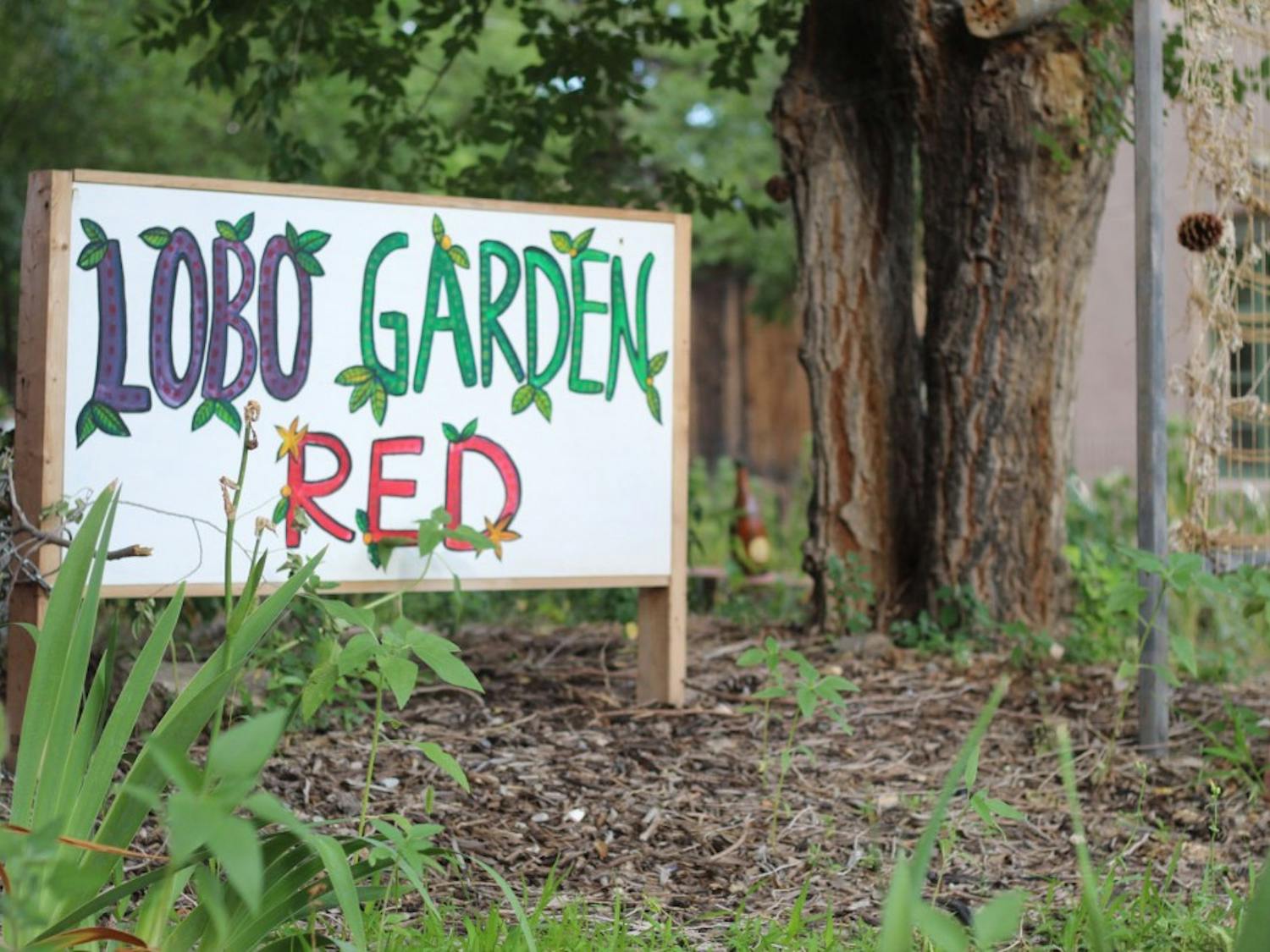 Lobo Garden Red