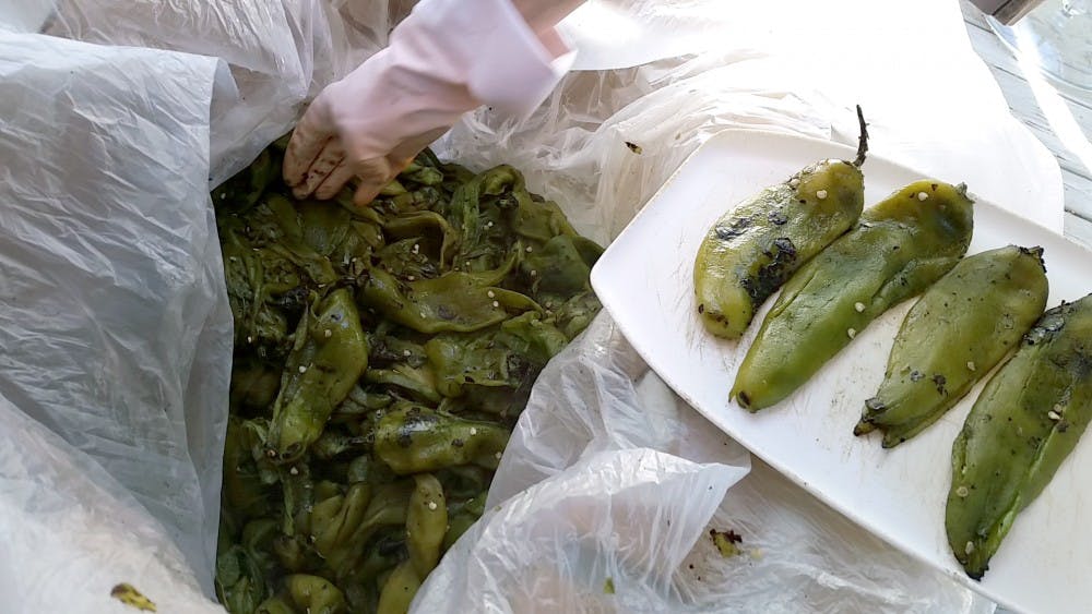 	New Mexico green chile is sorted after being roasted for the making of chiles rellenos. As soon as the chiles are peeled, refrigerate, freeze or just start cooking.