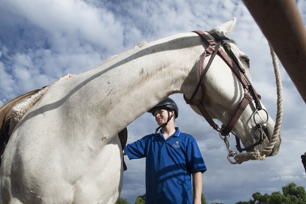 Cloud Dancers: Therapeutic Horsemanship Program
